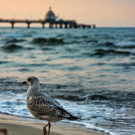 Hotel Asgards Midgard Zinnowitz